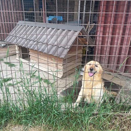 Privat Luna Ľubeľa Dış mekan fotoğraf